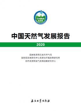 2020中國(guó)天然氣發(fā)展報(bào)告（含2017、2018、2019、2020）